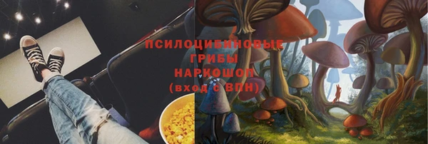 ешки Михайловск