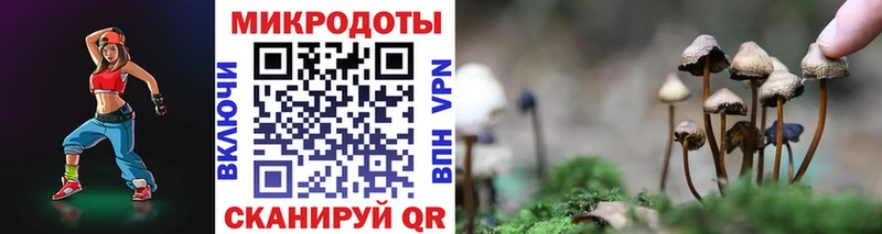магазин  наркотиков  mega как войти  Псилоцибиновые грибы Cubensis  Торопец 